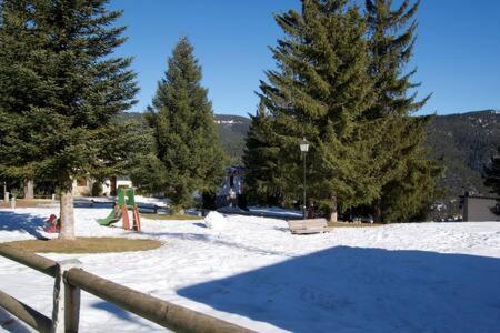 Apartament Font Dels Recons La Molina  Esterno foto